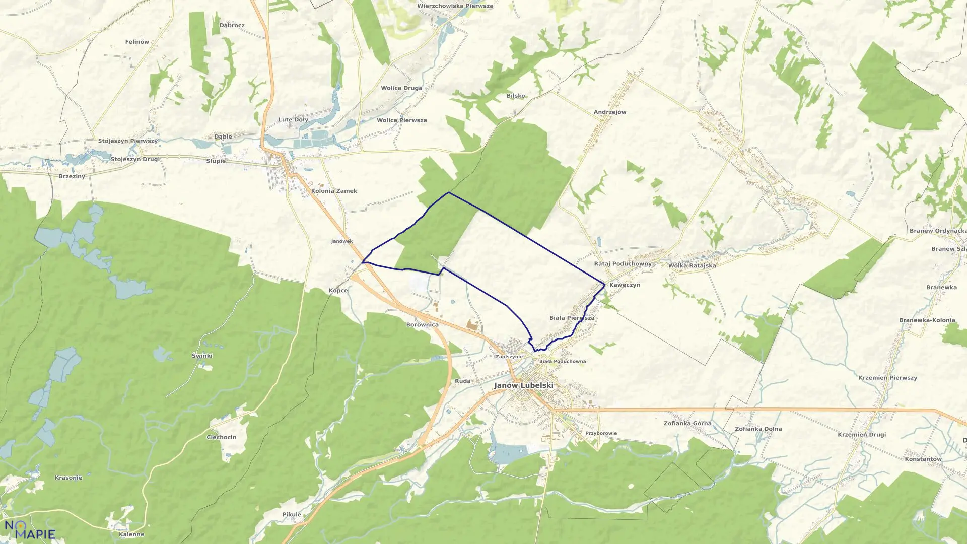 Mapa obrębu BIAŁA PIERWSZA w gminie Janów Lubelski